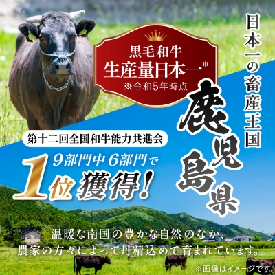 【毎月定期便】鹿児島県産 黒毛和牛 赤身ももスライス 600g(枕崎市)RR-0002 全3回【配送不可地域：離島】