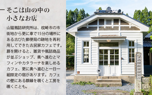 枕崎産鰹節使用 トンナート・ピクルス・スパイスカレーのもと セット～浮きたつ香り～  A6-92【配送不可地域：離島】