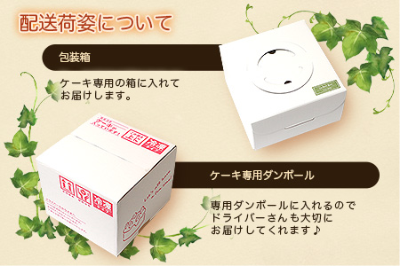 Le Petit Boisの濃厚 チーズケーキ 5号 直径15cm B3-1【配送不可地域：離島】