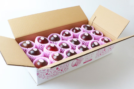 【先行受付】トロピカルパッションフルーツ約1.5Kg  A3-50 【発送は2026年6月中旬予定】【配送不可地域：離島】