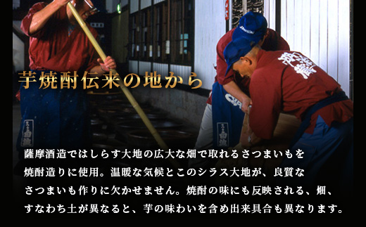 【焼酎屋の梅酒】「蔵うめ」14度 720ml  2本【黒糖仕込み】 A3-168【配送不可地域：離島】