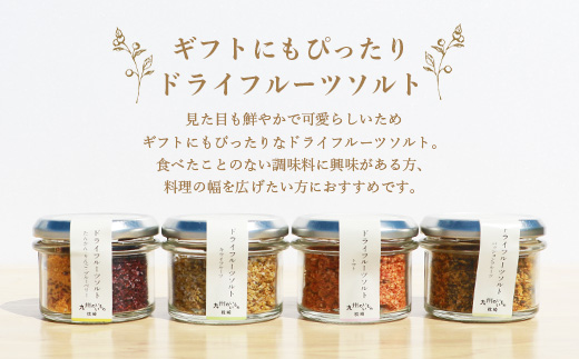ドライフルーツソルト (とまと・たんかん・キウイなど)4種セット 果実塩  A8-50【配送不可地域：離島】