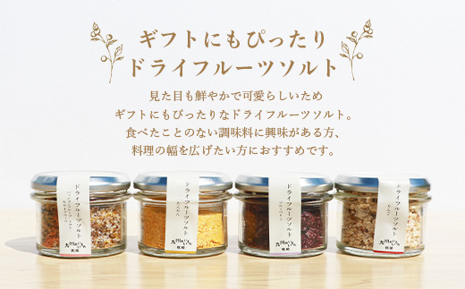 ドライフルーツソルト4種 A8-51【配送不可地域：離島】