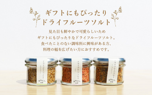 ドライフルーツソルト 3種セット【パッション・トマト・キウイ 】果実塩 fラボ A6-77【配送不可地域：離島】