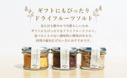 ドライフルーツソルト 3種セット【りんご・たんかん・ブルーベリー】果実塩 fラボ A6-78【配送不可地域：離島】