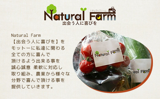 発酵ジェノベーゼソース(150g×4個)【鹿児島県枕崎産 バジル使用】B0-9【配送不可地域：離島】