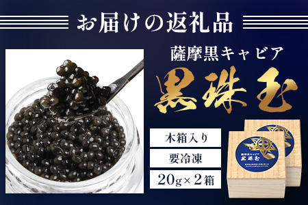 【数量限定】薩摩黒キャビア黒珠玉 鹿児島水産高校 枕崎キャビア【木箱入り】【20g×2箱】 F5-3【配送不可地域：離島】