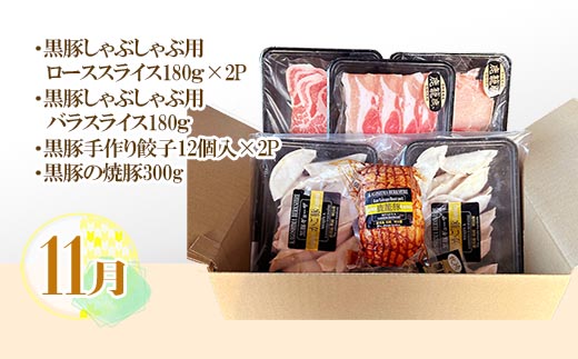 【発送月固定定期便】鹿児島県産黒豚三昧 EE0-0005 全4回【配送不可地域：離島】