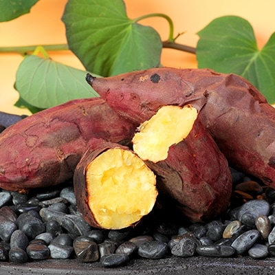 本場鹿児島さつまいも　【マロンスイート】10kg　2025年10月上旬から発送A8-11【配送不可地域：離島】