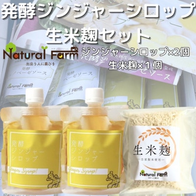 発酵ジンジャーシロップ＆生米麹A5-15【配送不可地域：離島】