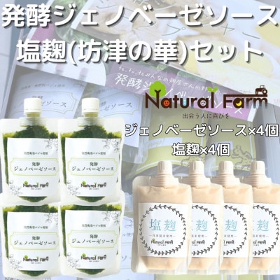 発酵ジェノベーゼソース＆塩麹(計8個)セットC0-69【配送不可地域：離島】