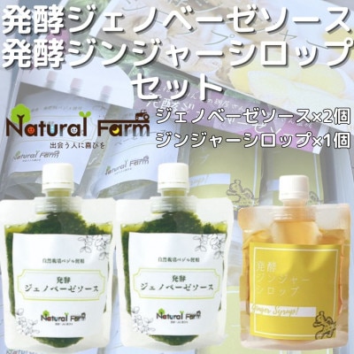 発酵ジェノベーゼソース×発酵ジンジャーシロップA5-14【配送不可地域：離島】
