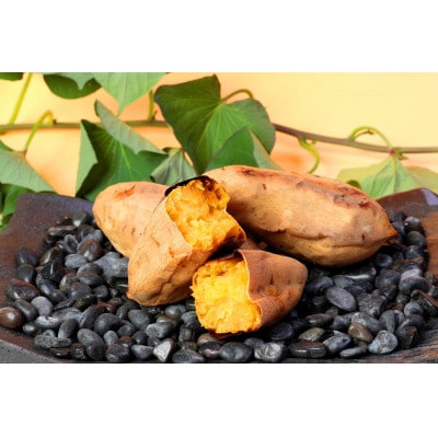 本場鹿児島さつまいも【くりこがね】6kg　2025年10月上旬より発送A3-57【配送不可地域：離島】