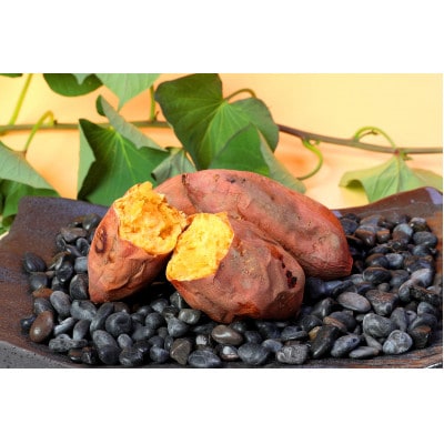 本場鹿児島さつまいも 【安納蜜】4kg　2025年10月上旬より発送Z0-15【配送不可地域：離島】