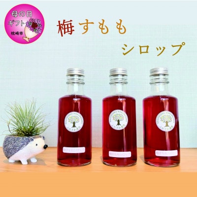 【母の日】ふかざわ農園の梅すももシロップ　A3-28M【配送不可地域：離島】