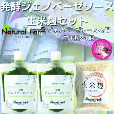 【母の日】発酵ジェノベーゼソース＆生米麹　A3-9M【配送不可地域：離島】