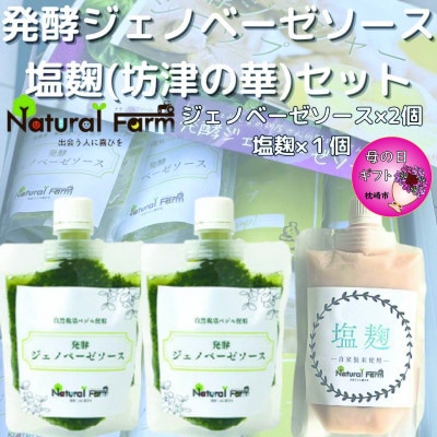 【母の日】発酵ジェノベーゼソース＆塩麹A5-11M【配送不可地域：離島】