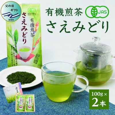 【父の日】1番茶のみを使用 有機煎茶【さえみどり】KAORU園 (100g×2本) A6-118F【配送不可地域：離島】
