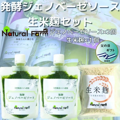 【父の日】発酵ジェノベーゼソース＆生米麹　A3-9F【配送不可地域：離島】