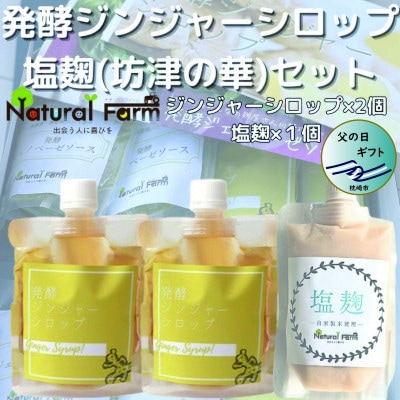 【父の日】発酵ジンジャーシロップ＆塩麹A7-11F【配送不可地域：離島】