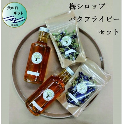 【父の日】手づくり梅シロップ バタフライピーセット　A3-31F【配送不可地域：離島】