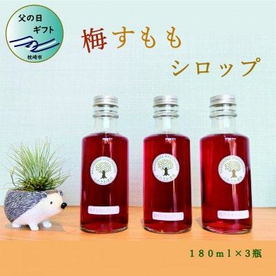 【父の日】ふかざわ農園の梅すももシロップ　A3-28F【配送不可地域：離島】