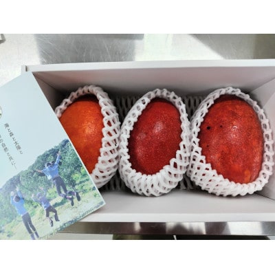 鹿児島県枕崎市産　完熟マンゴー　1kg程度 A8-96【配送不可地域：離島】