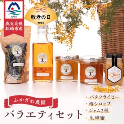 【敬老の日】日本ミツバチの生蜂蜜・梅シロップ・ジャム2種・バタフライピー　BB-2004K【配送不可地域：離島】