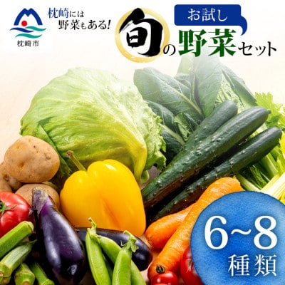 枕崎には野菜もある!!定番・旬のお試し野菜セット　Z0-27【配送不可地域：離島】