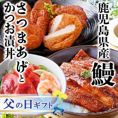 【父の日】鹿児島県産うなぎとさつま揚げとかつお丼セットA4-6F【配送不可地域：離島】