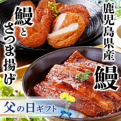 【父の日】鹿児島県産うなぎとさつま揚げ　大サイズ鰻1尾と3種類のさつま揚げ12枚入りA2-16F【配送不可地域：離島】