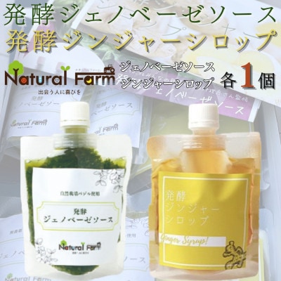 発酵ジェノベーゼソース＆発酵ジンジャーシロップ　各1パックセット A3-373【配送不可地域：離島】