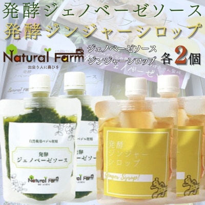 発酵ジェノベーゼソース＆発酵ジンジャーシロップ　各2パックセット B0-11【配送不可地域：離島】