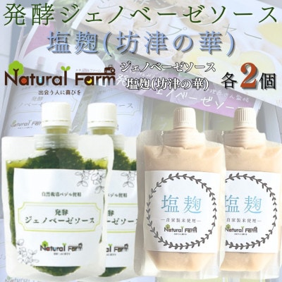 発酵ジェノベーゼソース＆塩麹　各2パックセット A8-114【配送不可地域：離島】