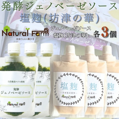 発酵ジェノベーゼソース＆塩麹　各3パックセット B5-12【配送不可地域：離島】
