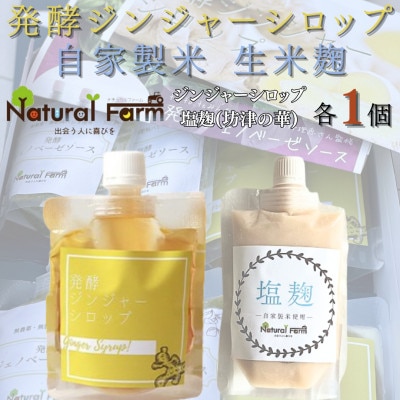 発酵ジンジャーシロップ＆塩麹　各1パックセット A2-20【配送不可地域：離島】