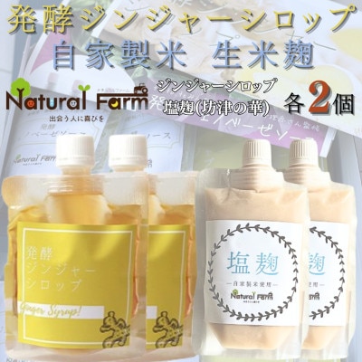 発酵ジンジャーシロップ＆塩麹　各2パックセット B1-4【配送不可地域：離島】