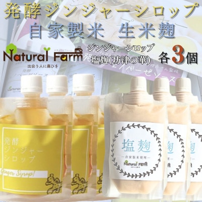 発酵ジンジャーシロップ＆塩麹　各3パックセット B8-25【配送不可地域：離島】
