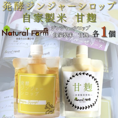 発酵ジンジャーシロップ＆甘麹　各1パックセット A2-19【配送不可地域：離島】