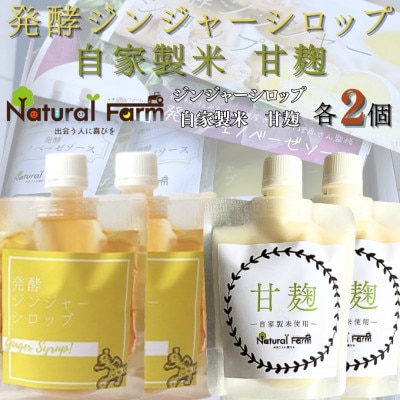 発酵ジンジャーシロップ＆甘麹　各2パックセット B0-12【配送不可地域：離島】