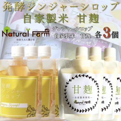 発酵ジンジャーシロップ＆甘麹　各3パックセット B7-3【配送不可地域：離島】
