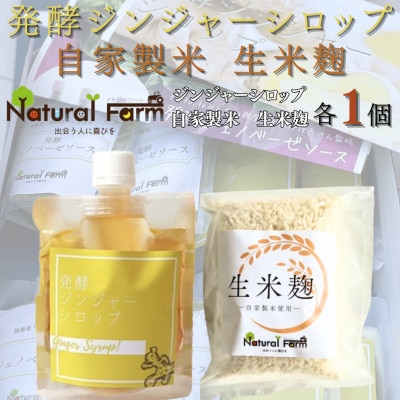 発酵ジンジャーシロップ＆生米麹　各1パックセット A1-9【配送不可地域：離島】