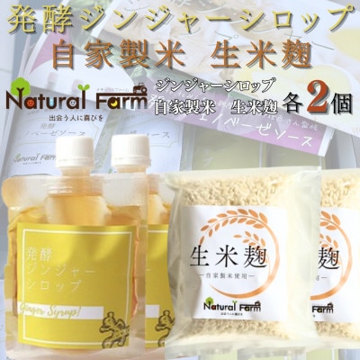 発酵ジンジャーシロップ＆生米麹　各2パックセット A7-18【配送不可地域：離島】