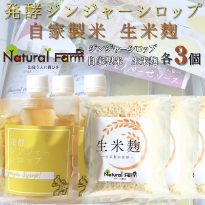 発酵ジンジャーシロップ＆生米麹　各3パックセット B4-5【配送不可地域：離島】