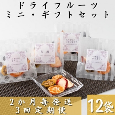 【2ヵ月毎定期便】枕崎産ドライフルーツミニギフト12袋 感謝御礼 お礼 贈り物LL-6043全3回【配送不可地域：離島】