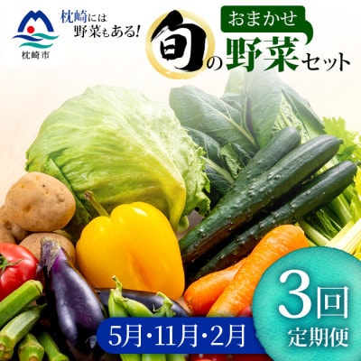 【発送月固定定期便】枕崎の野菜!!定番・旬の野菜お任せセット(5・11・2月)DD0-0008全3回【配送不可地域：離島】