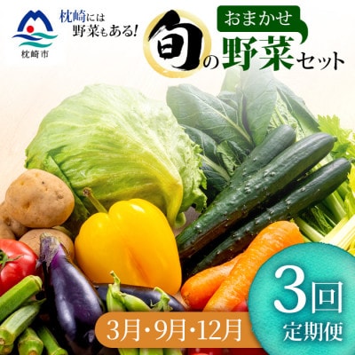 【発送月固定定期便】枕崎の野菜!!定番・旬の野菜お任せセット(3・9・12月)DD0-0009全3回【配送不可地域：離島】