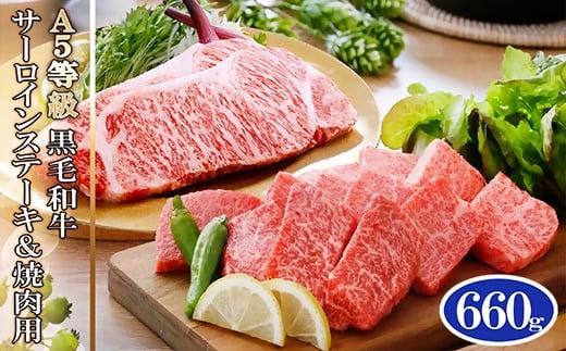 A5等級黒毛和牛サーロインステーキ2枚＆焼肉用(計660g) C0-16【配送不可地域：離島】