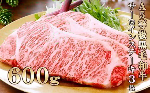 鹿児島県産A5等級黒毛和牛サーロインステーキ3枚(600g) C0-17【配送不可地域：離島】