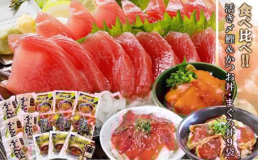 枕崎ぶえん鰹800g ＆ 漬け丼3種9袋(かつお・まぐろ・ネギトロ) A6-140【配送不可地域：離島】